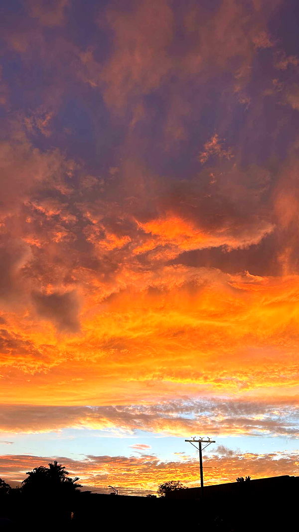 soph4ocean image ~ Altpins