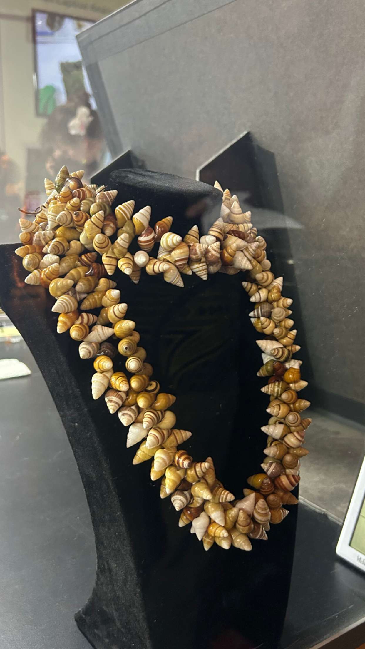 soph4ocean snapchat image archive image