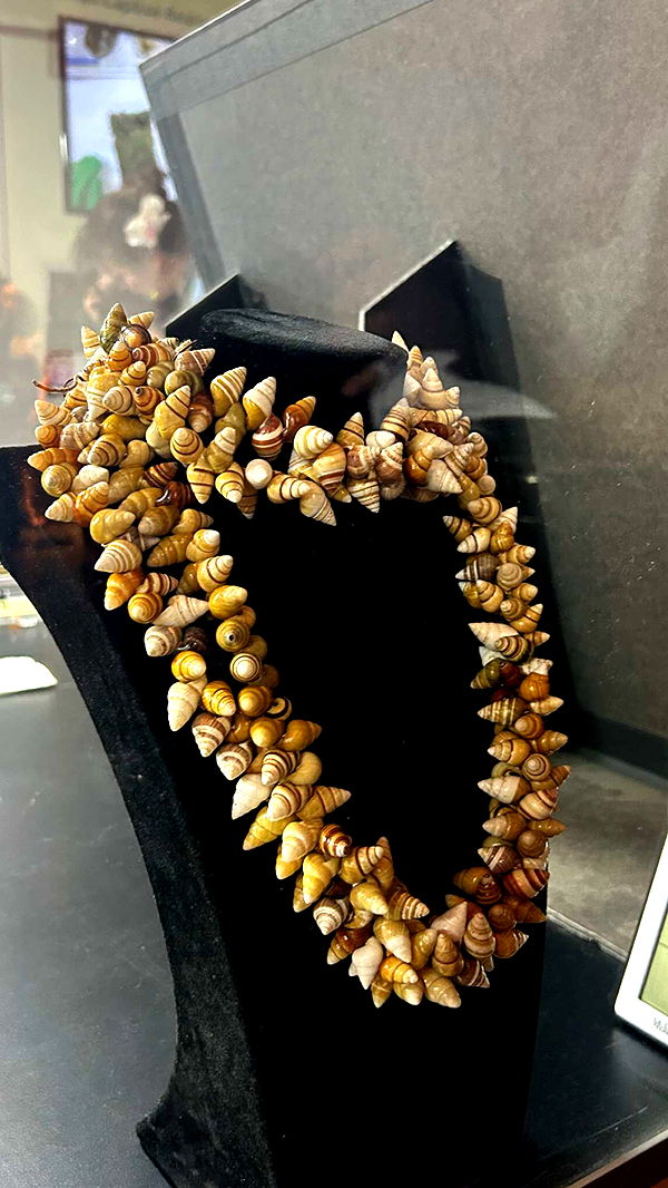 soph4ocean image ~ Altpins