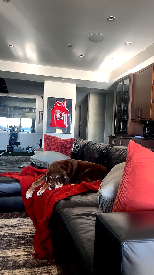 soph4ocean image ~ Altpins