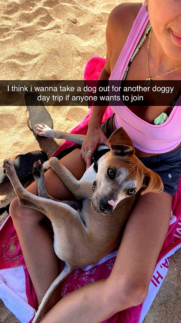 soph4ocean image ~ Altpins