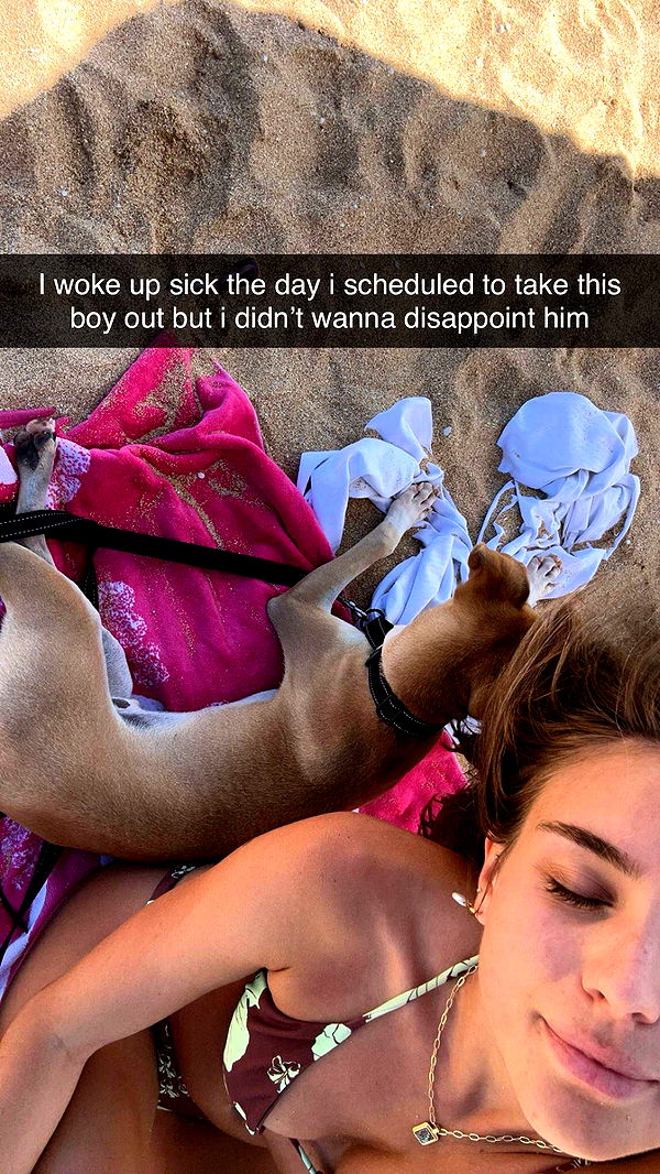 soph4ocean image ~ Altpins