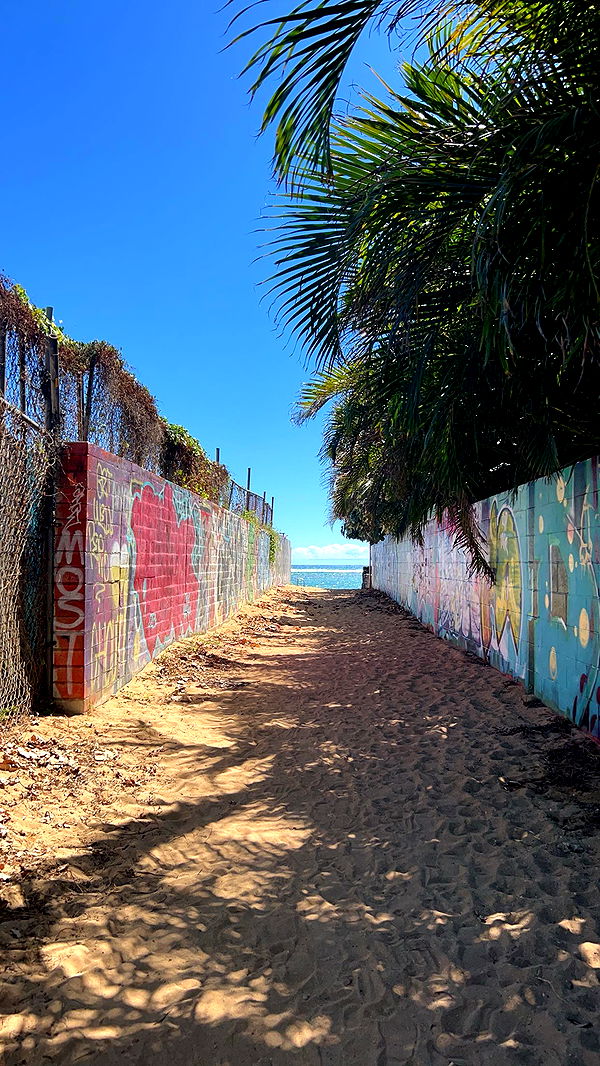 soph4ocean image ~ Altpins