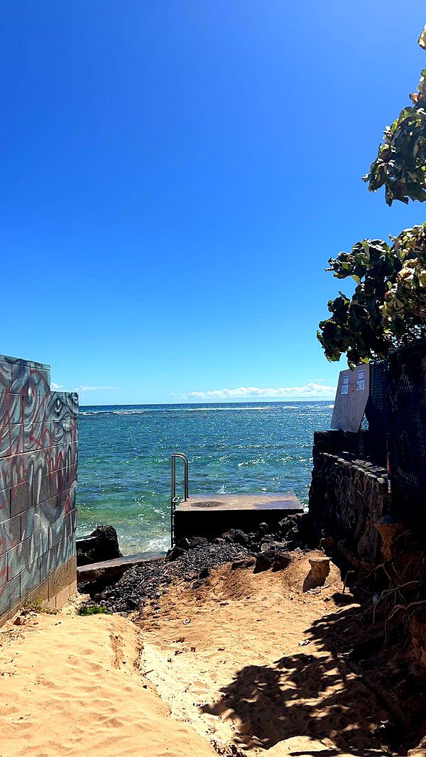 soph4ocean image ~ Altpins