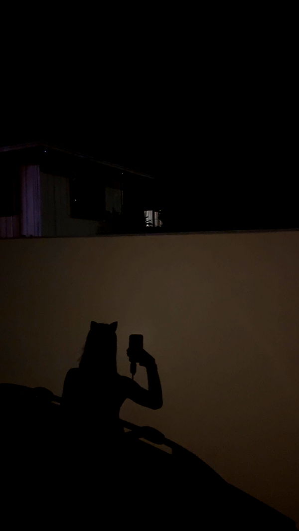 soph4ocean image ~ Altpins