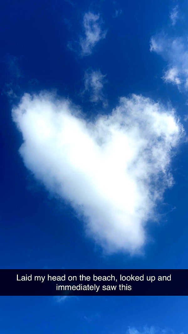 soph4ocean image ~ Altpins