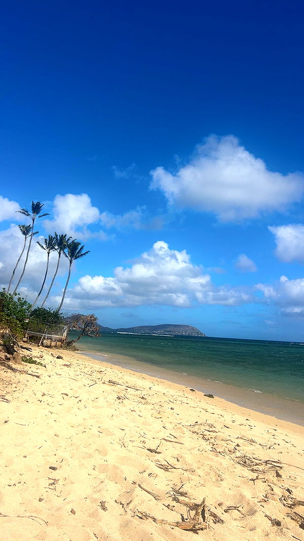 soph4ocean image ~ Altpins