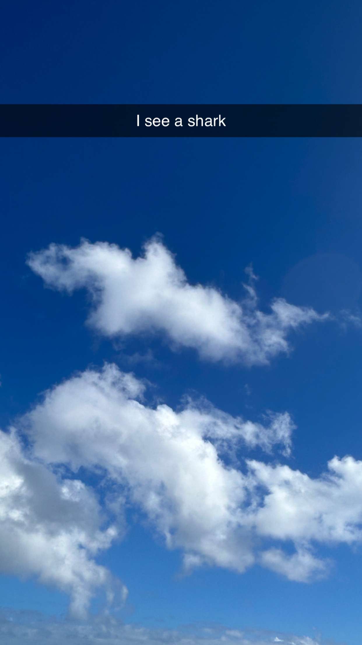 soph4ocean snapchat image archive image