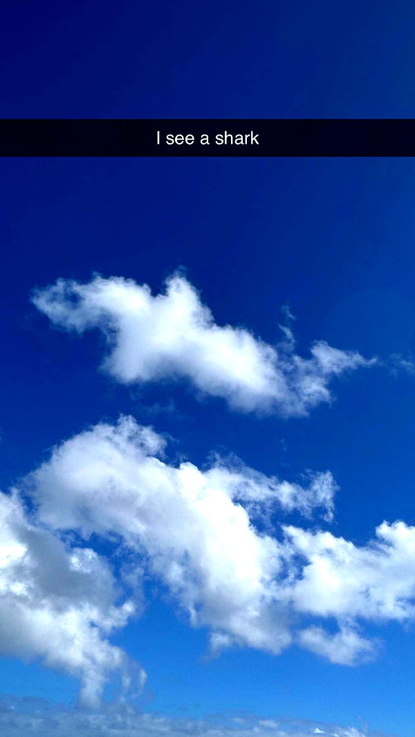 soph4ocean image ~ Altpins