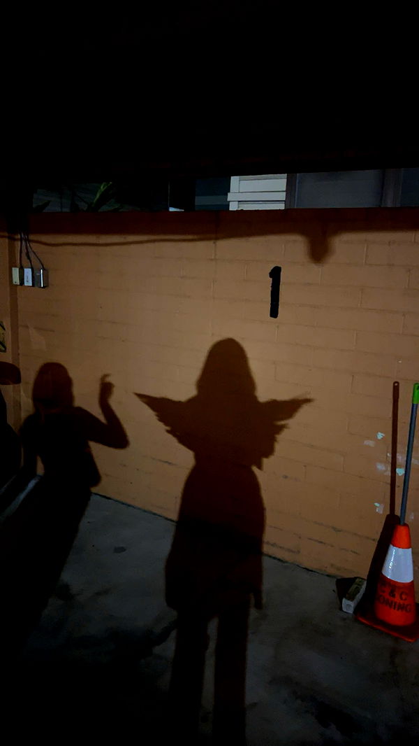 soph4ocean image ~ Altpins