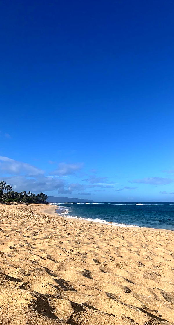 soph4ocean image ~ Altpins