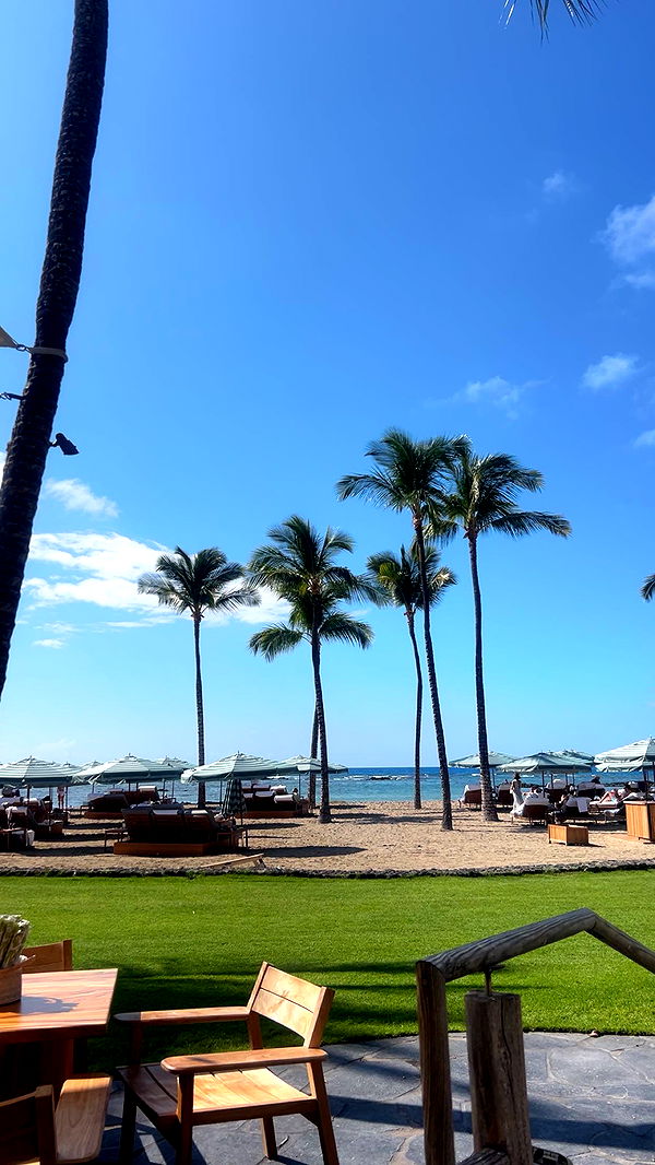 soph4ocean image ~ Altpins