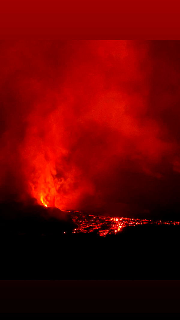 soph4ocean image ~ Altpins