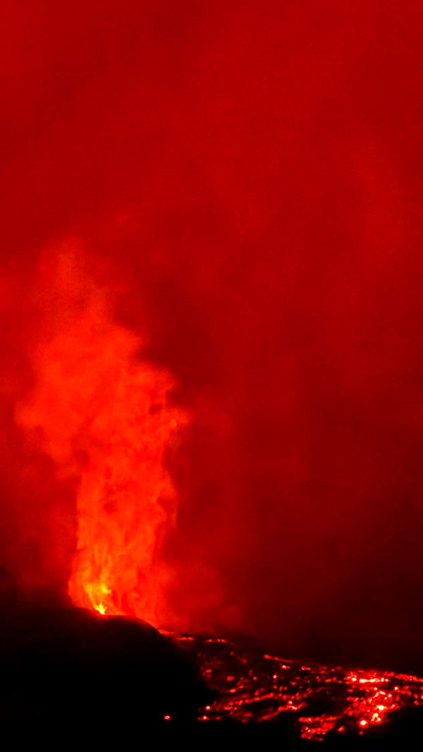 soph4ocean image ~ Altpins