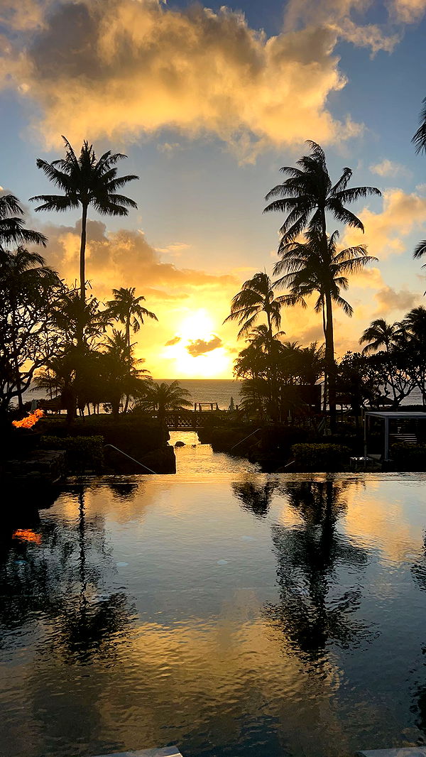 soph4ocean image ~ Altpins