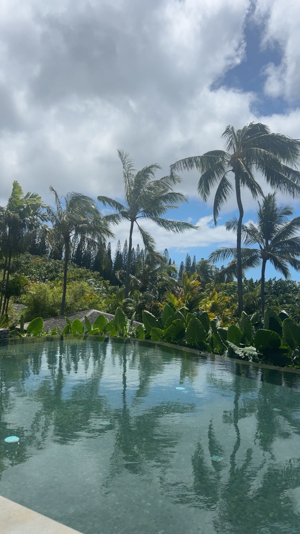 soph4ocean snapchat image archive image