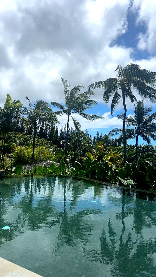 soph4ocean image ~ Altpins