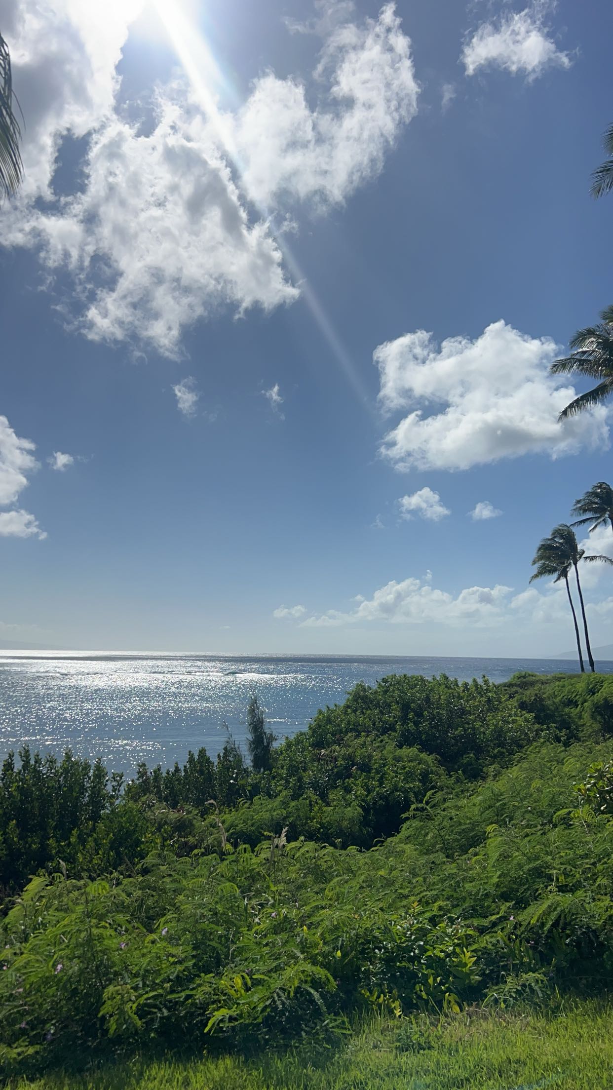 soph4ocean snapchat image archive image