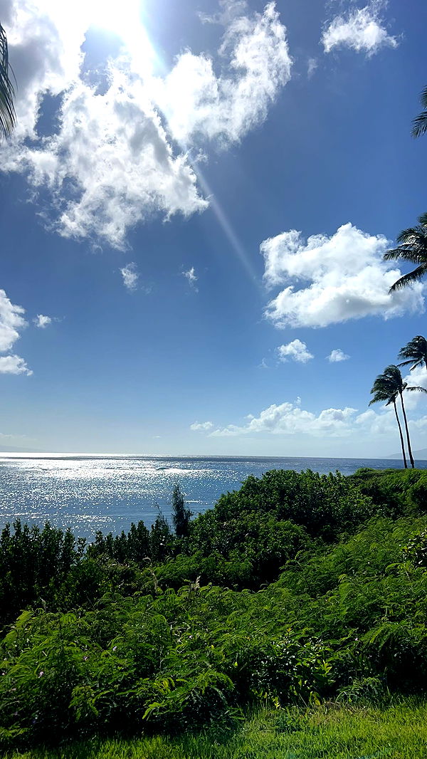 soph4ocean image ~ Altpins