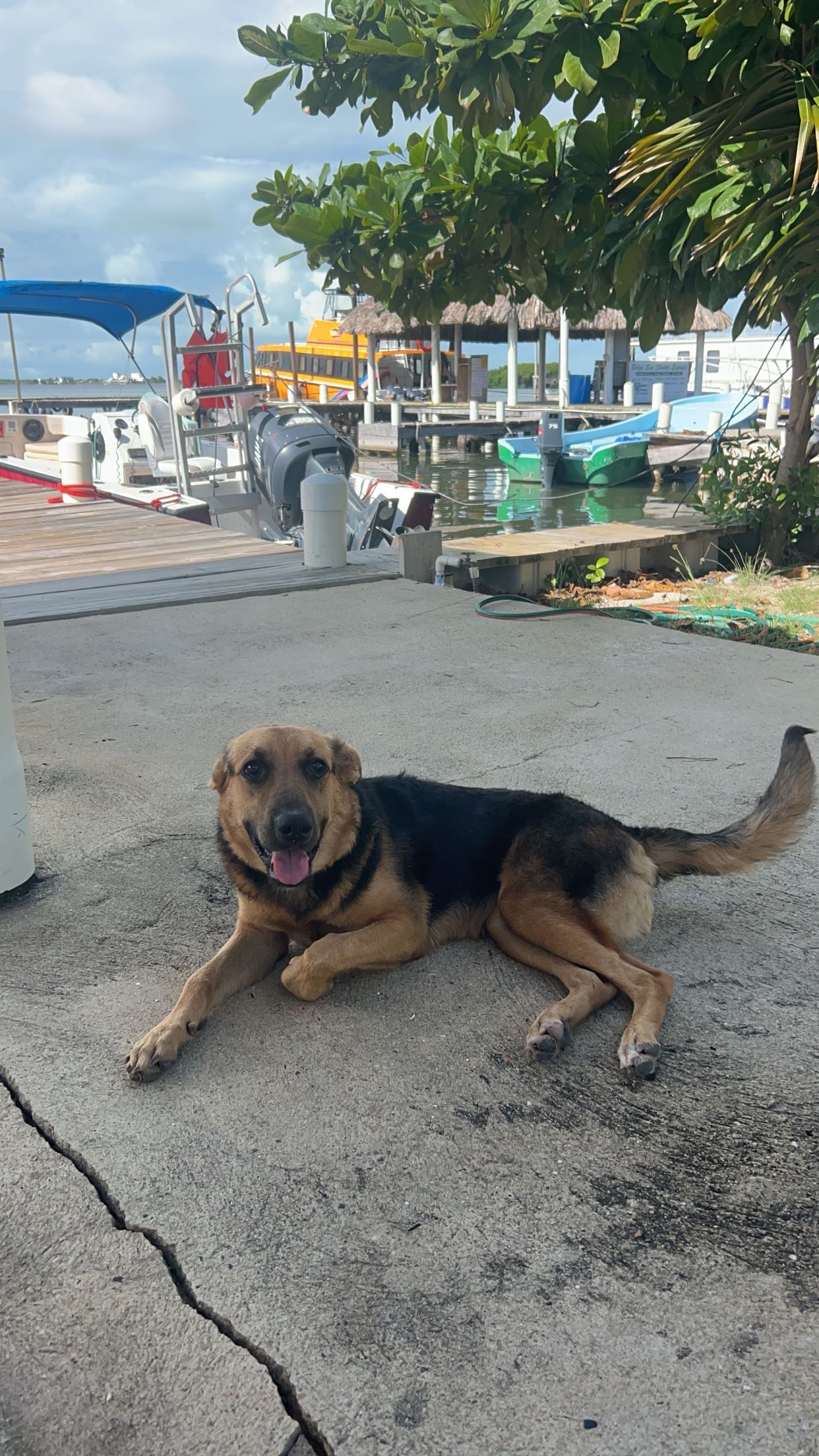 soph4ocean snapchat image archive image