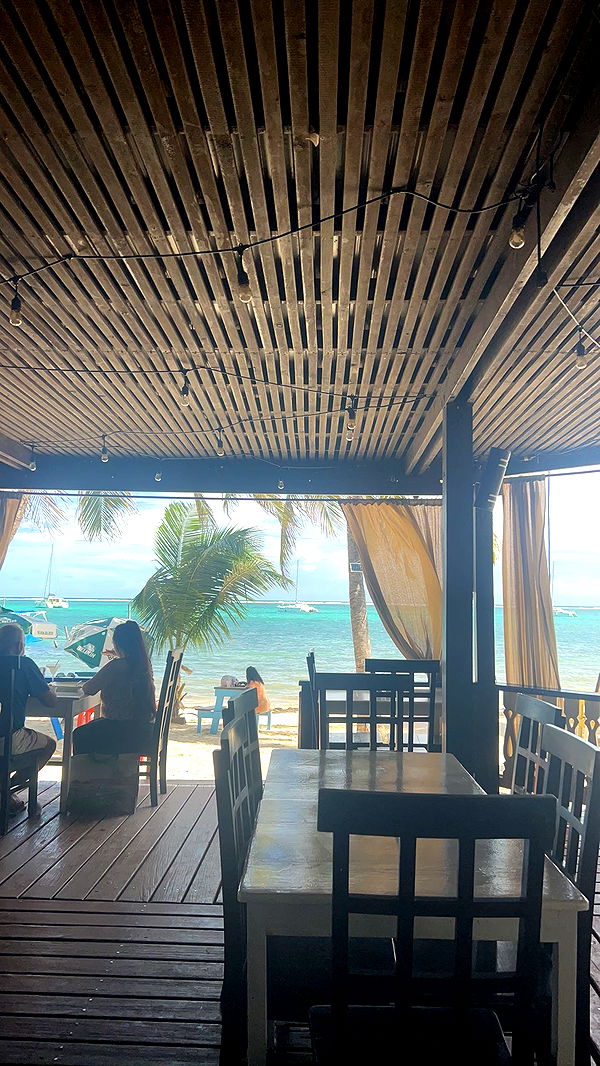 soph4ocean image ~ Altpins