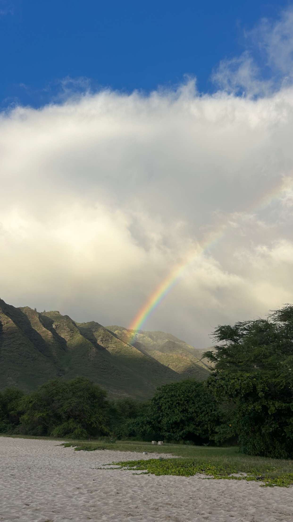 soph4ocean snapchat image archive image