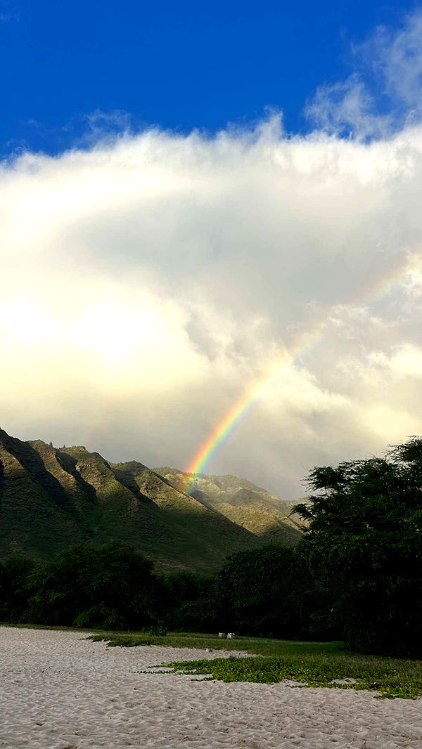 soph4ocean image ~ Altpins