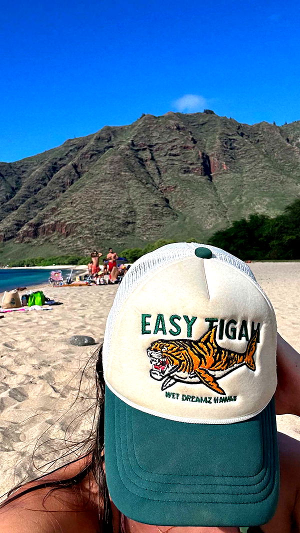 soph4ocean image ~ Altpins