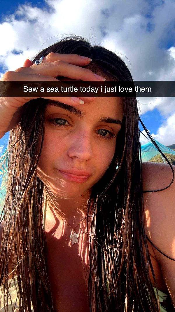 soph4ocean image ~ Altpins