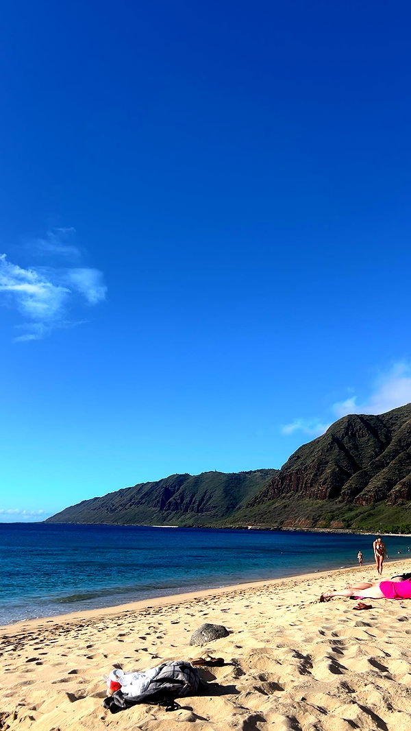 soph4ocean image ~ Altpins