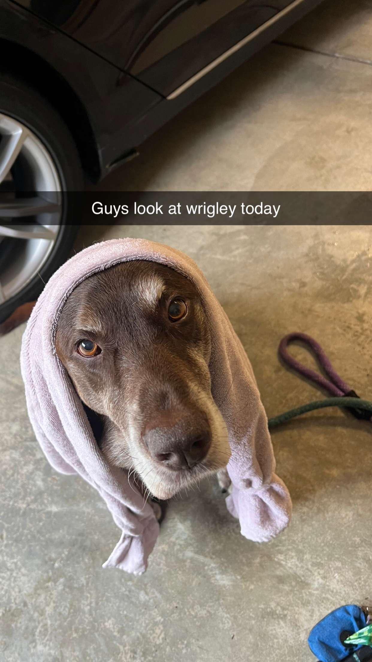 soph4ocean snapchat image archive image