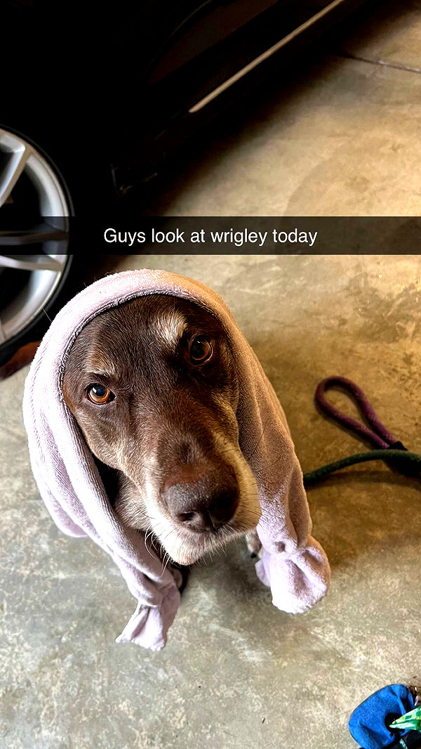 soph4ocean image ~ Altpins