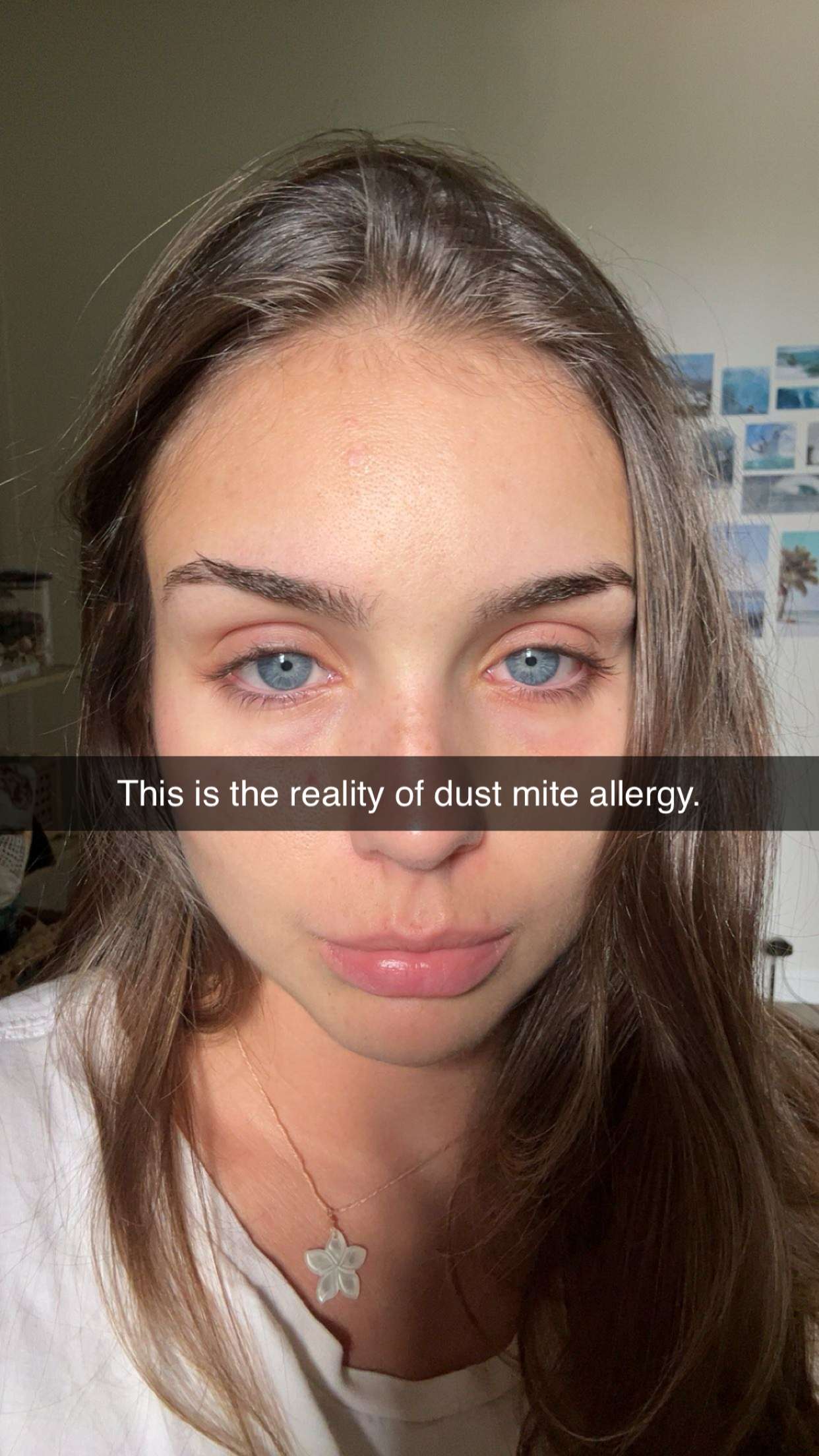 soph4ocean snapchat image archive image