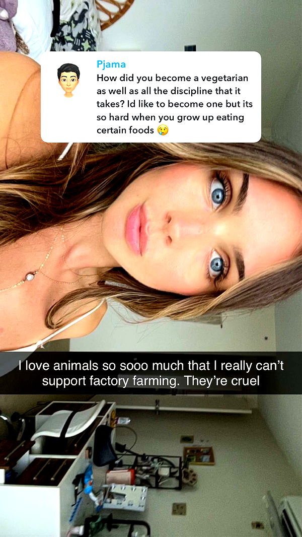 soph4ocean image ~ Altpins