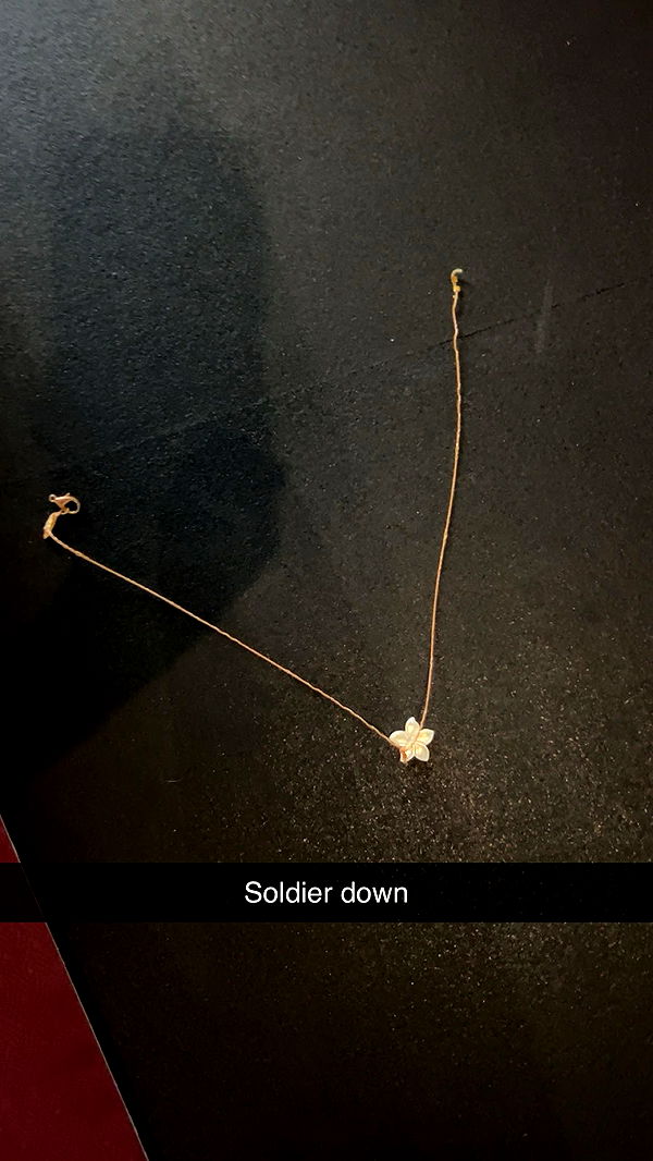 soph4ocean image ~ Altpins