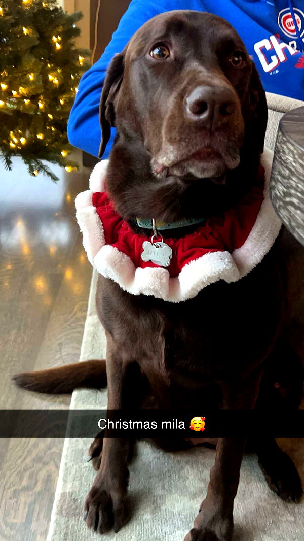 soph4ocean image ~ Altpins