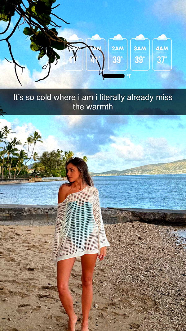 soph4ocean image ~ Altpins