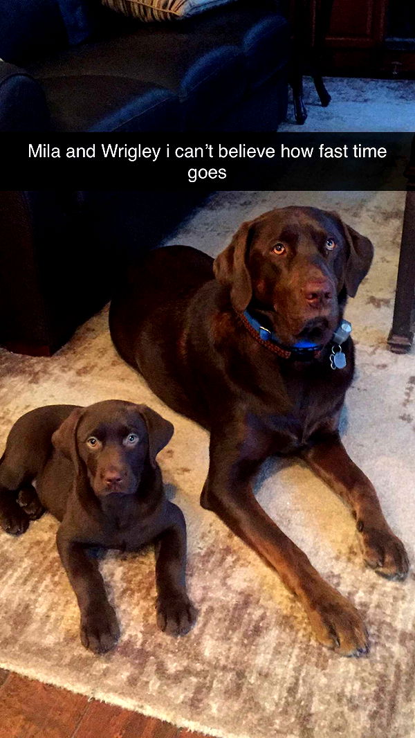 soph4ocean image ~ Altpins