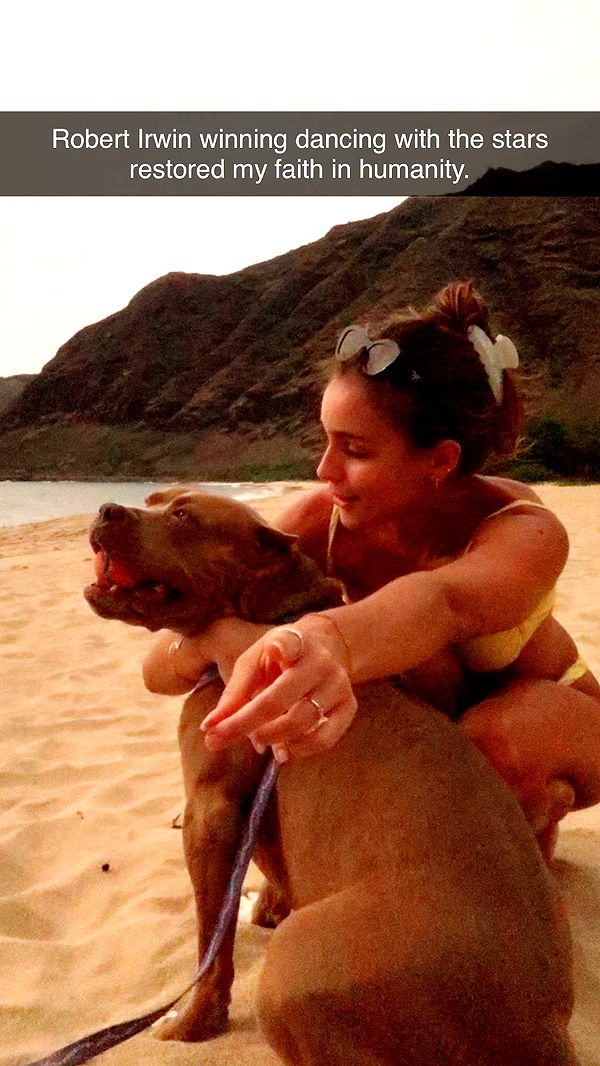 soph4ocean image ~ Altpins