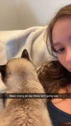 sophieeemudd Altpins Profile Picture