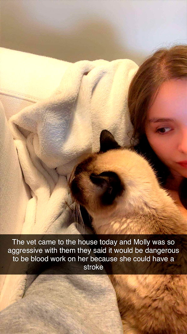 sophieeemudd snapchat image archive image