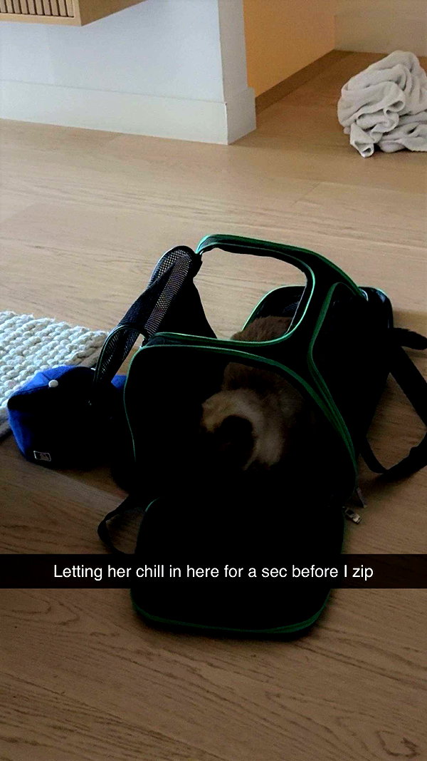 sophieeemudd snapchat image archive image