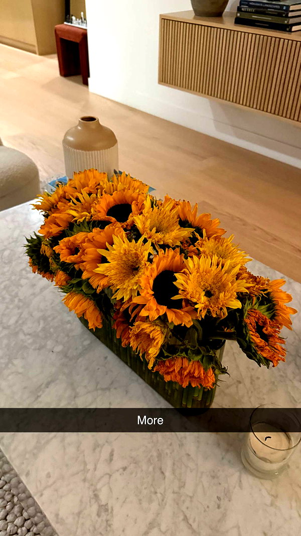 sophieeemudd snapchat image archive image
