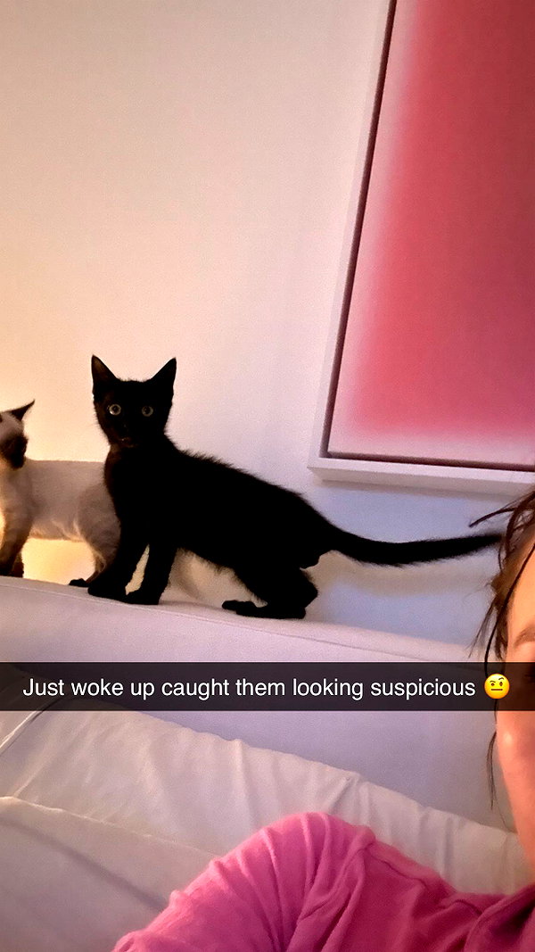 sophieeemudd snapchat image archive image