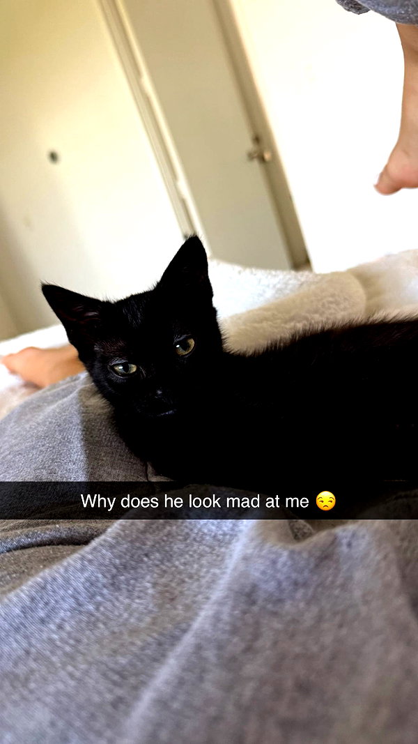 sophieeemudd snapchat image archive image