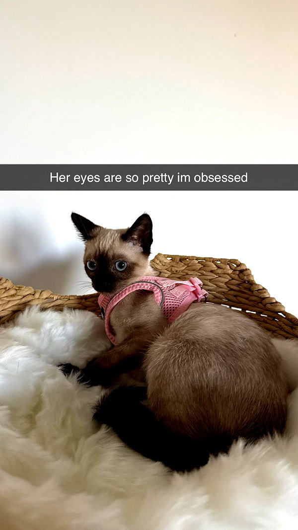 sophieeemudd snapchat image archive image