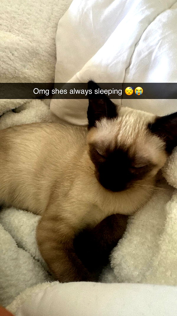 sophieeemudd snapchat image archive image