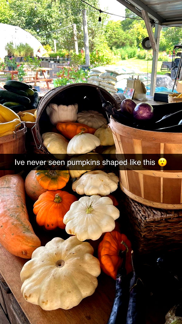 sophieeemudd snapchat image archive image