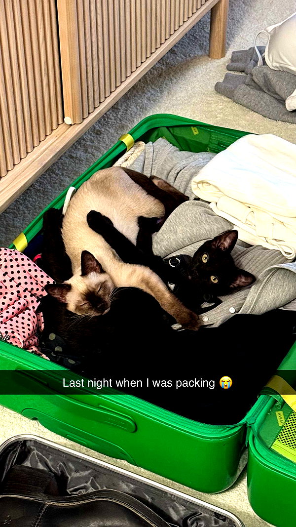 sophieeemudd snapchat image archive image