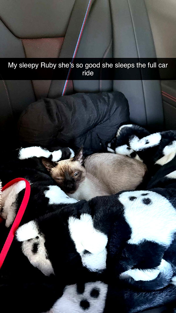 sophieeemudd snapchat image archive image